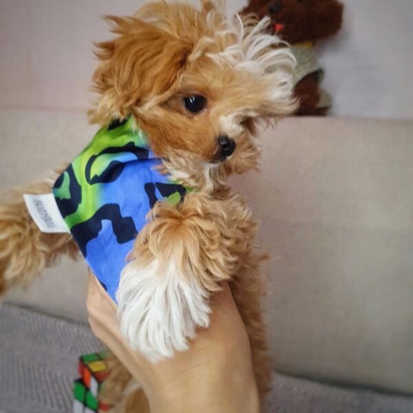 bb455938-e4b3-4bb6-ab17-1a9e570bfc90 FEMALE